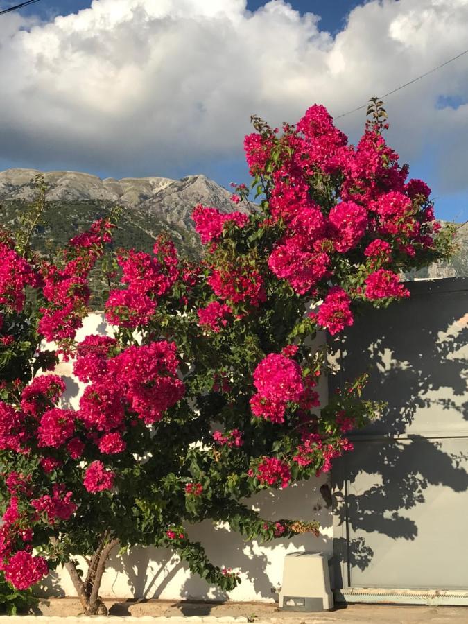 Villa 61 Sea And Sunset View Dhermi Exterior photo